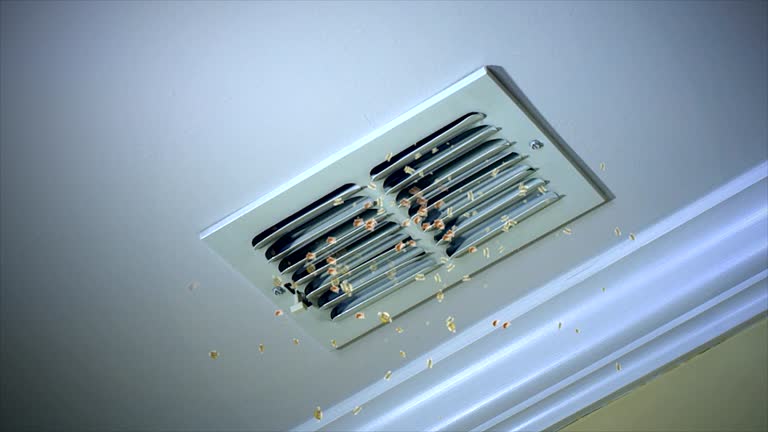 Best Best Air Duct Cleaning Company  in Beach Park, IL