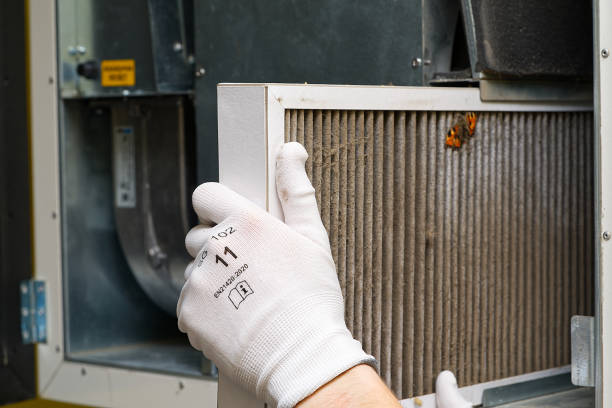 Best HVAC Duct Inspection Services  in Beach Park, IL
