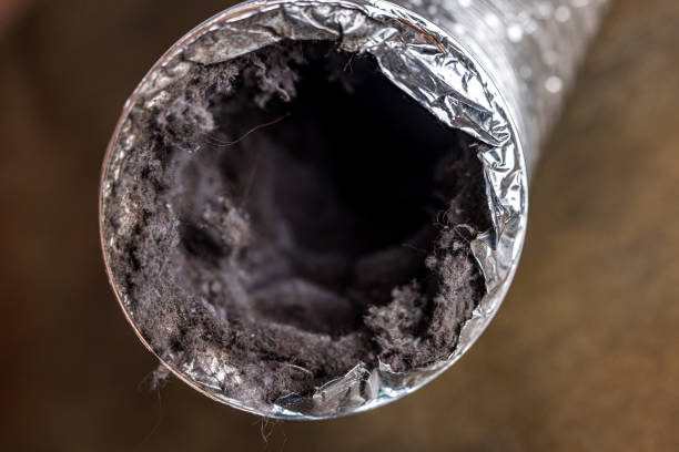 Best Air Duct Cleaning Near Me  in Beach Park, IL